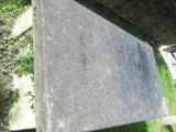 image of grave number 253961